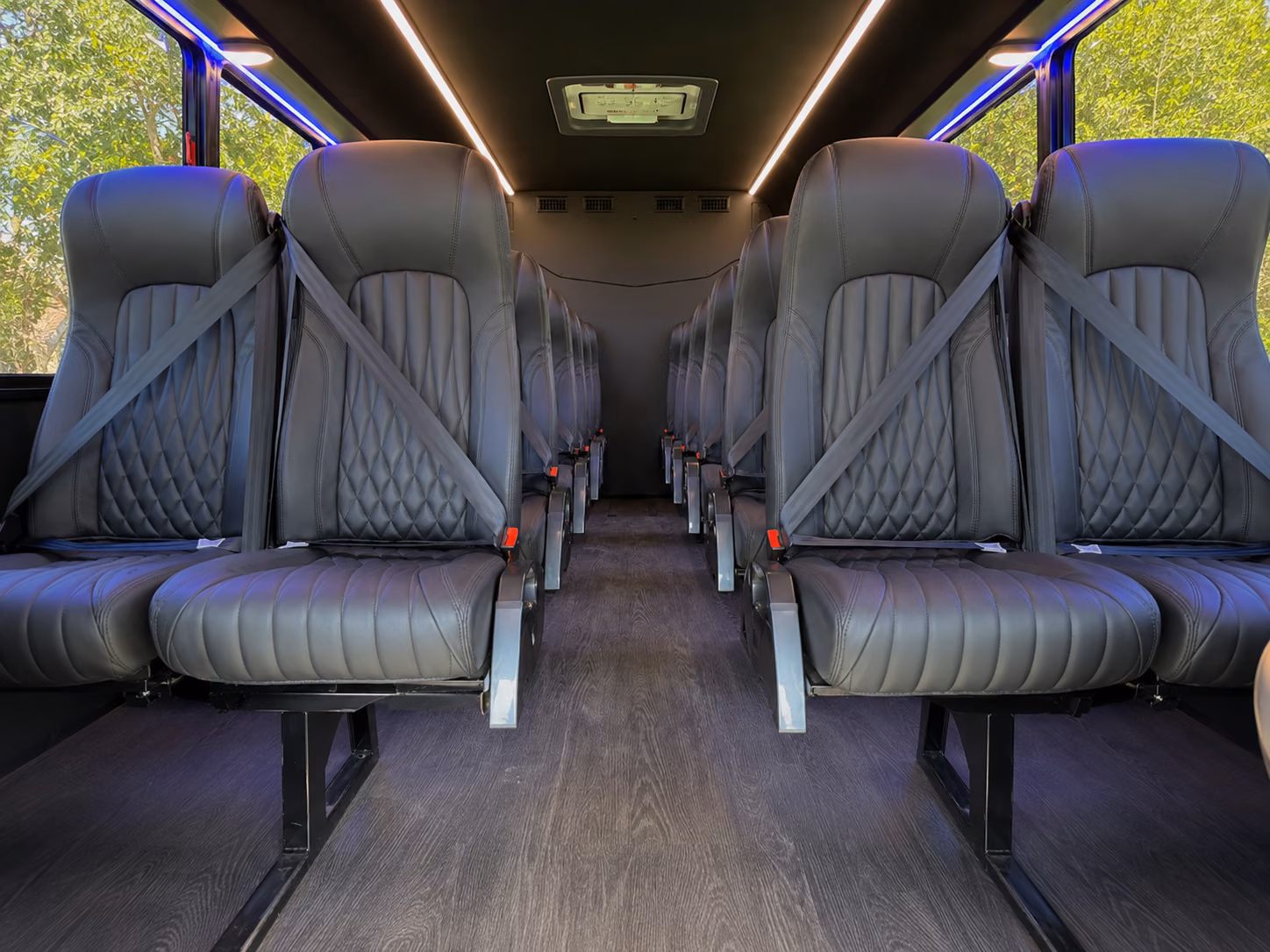charter buses for large wedding groups traveling across the lowcountry